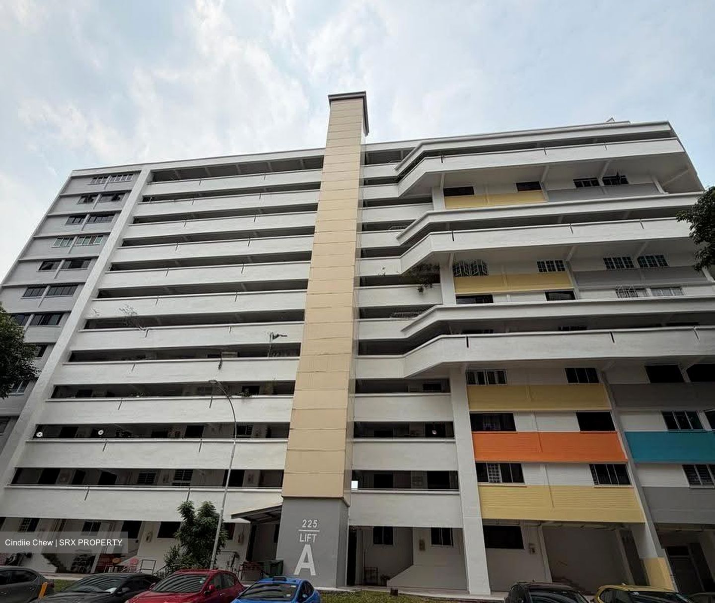 Blk 225 Boundary Ville (Serangoon), HDB 4 Rooms #628451831